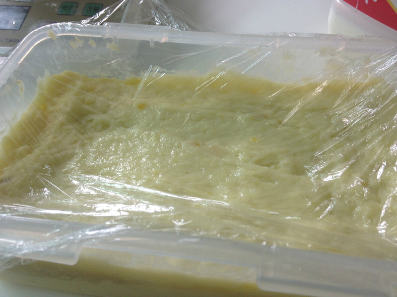 �ع����̶�������