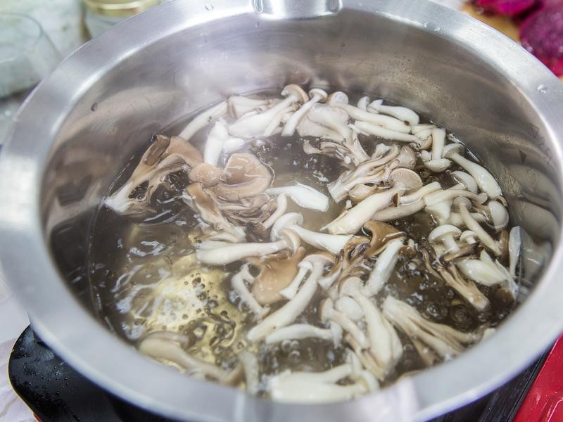 ֥������ɳ��������