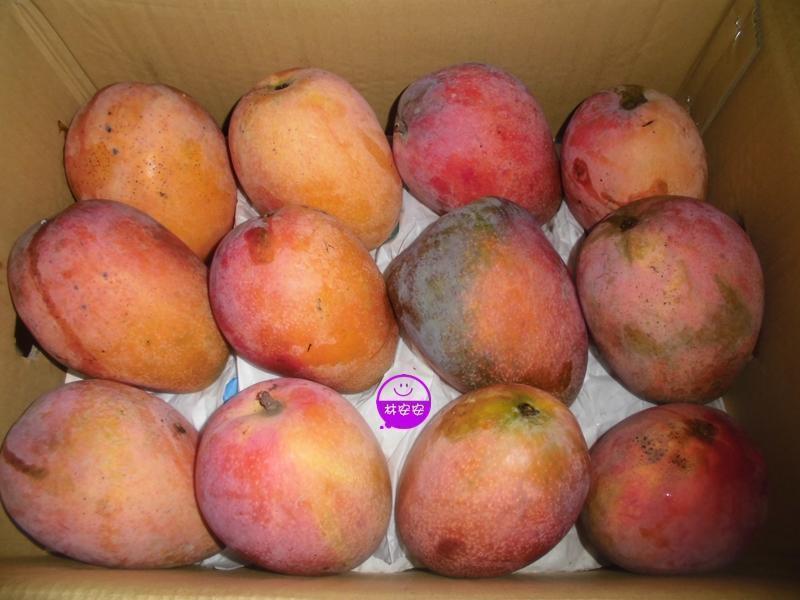 â���������ɼ��� ���ʰ����������