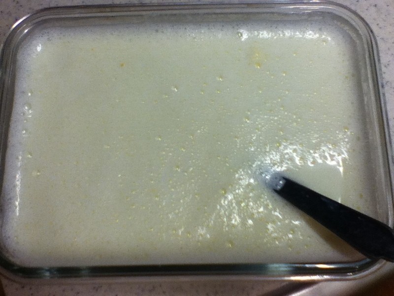 DIYԭζ�Ÿ�����������