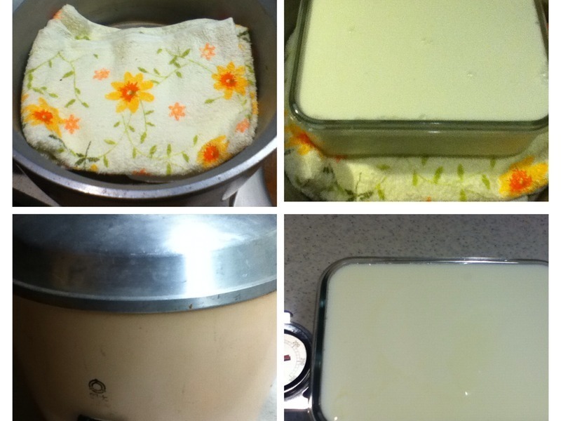 DIYԭζ�Ÿ�����������