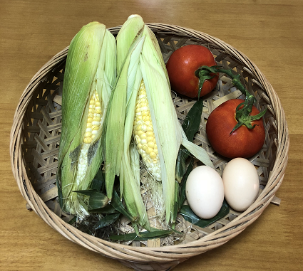 ��������������׼��� ������������