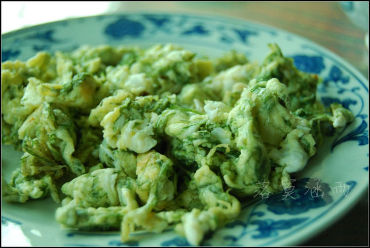 ��̦����������