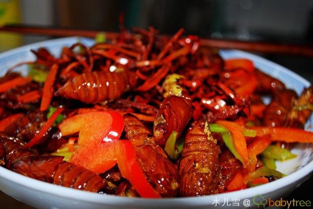 干煸茧蛹的做法