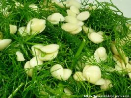 ������������ݵ�����