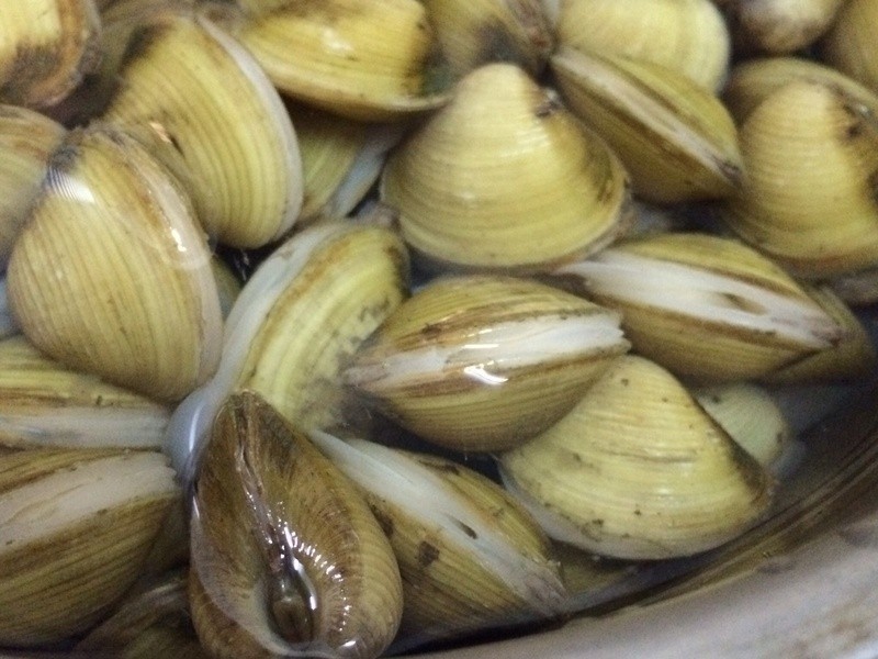 �Z�ƽ�����е�����