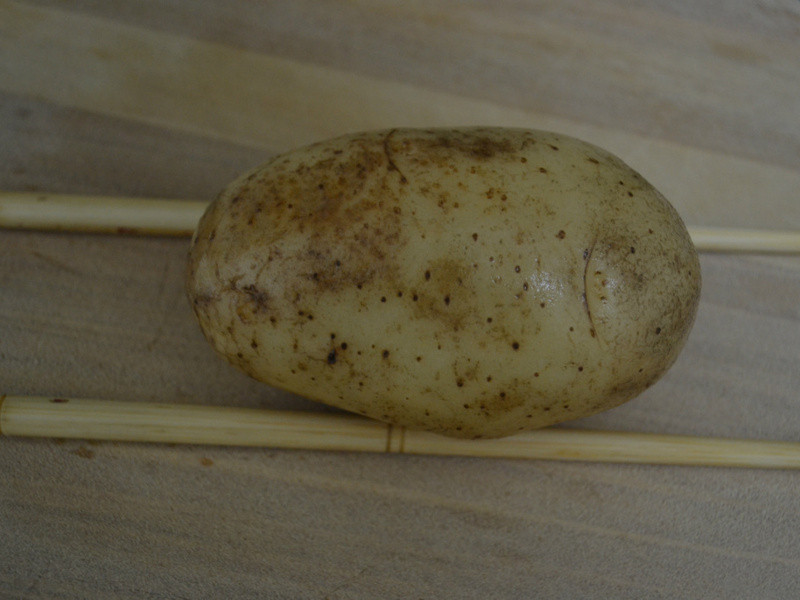 �����ַ���������������