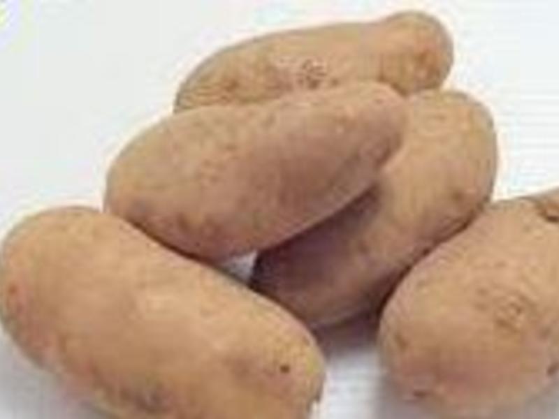 ��Ũ���ܵ� �������������