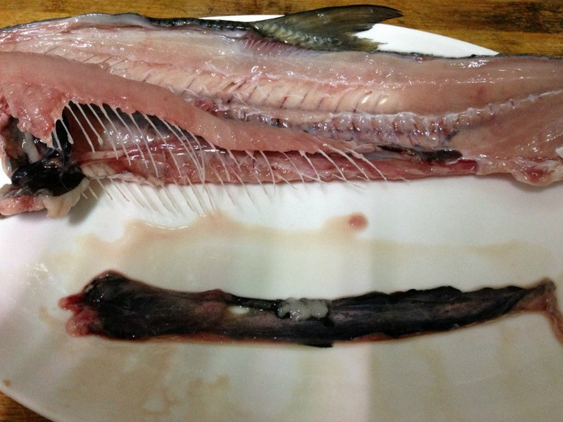 ������ - ʭĿ��Ǹ���������