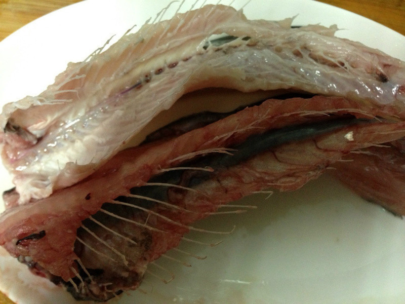 ������ - ʭĿ��Ǹ���������