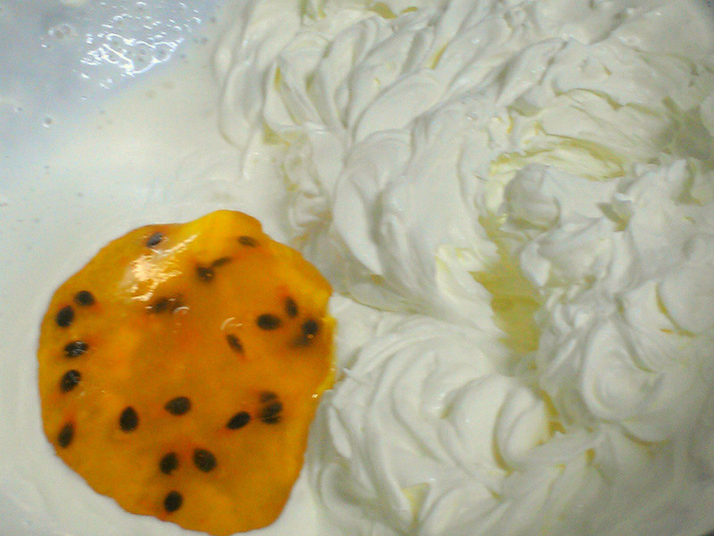 �����ѩ�������