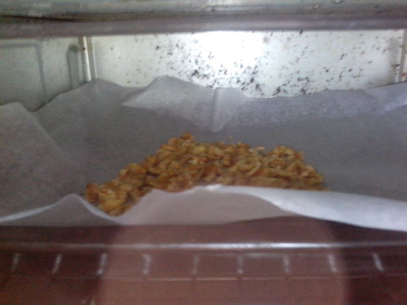 ��������Ĩ��������