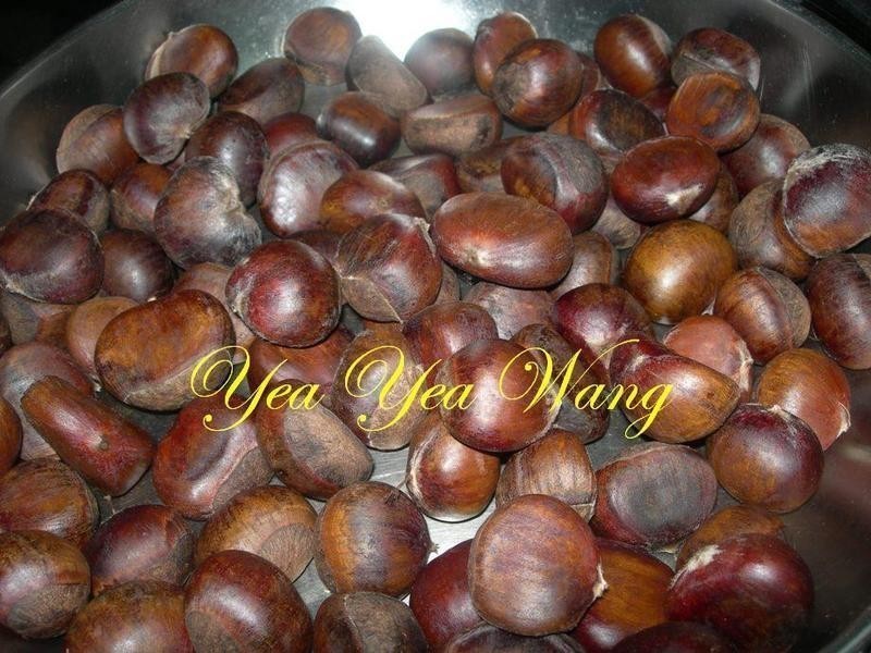 �������ӵ�����