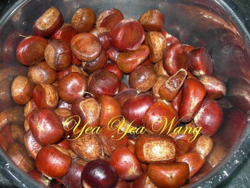 �������ӵ�����