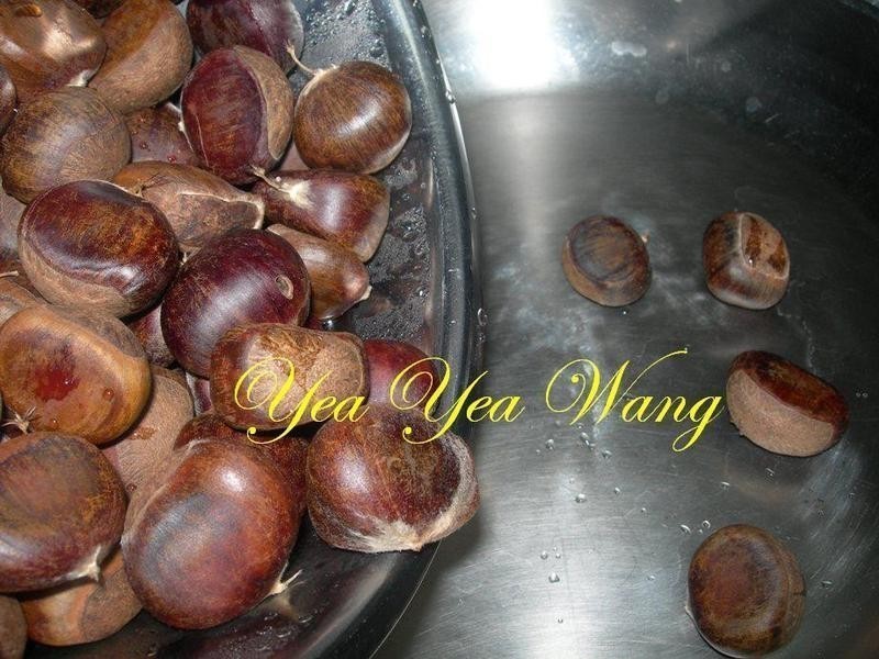 �������ӵ�����