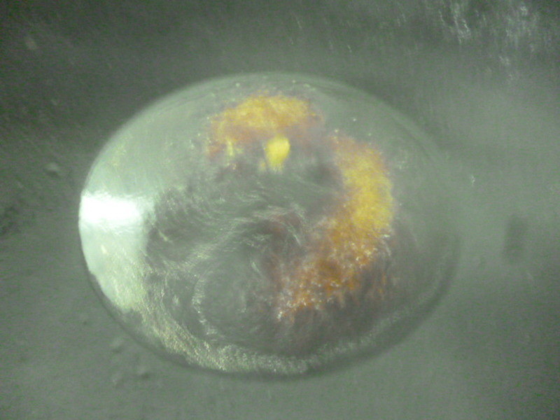 �Ų����ն���(����ʳ)������