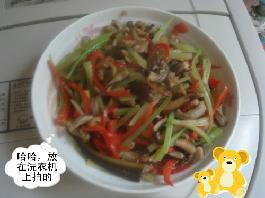 ������˿������