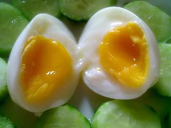 �������ĳԵ�����