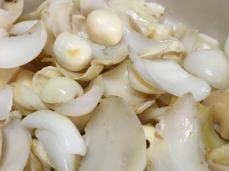 BB���������̵�����