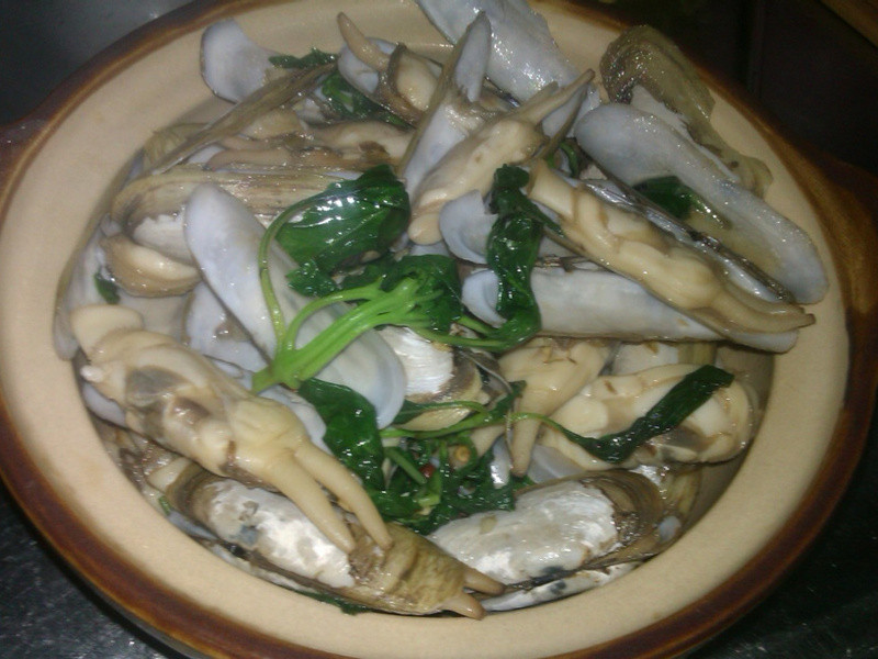 �Ų����ȳ���������