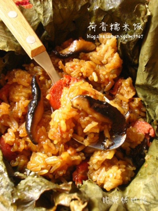 ����Ŵ�׷�������