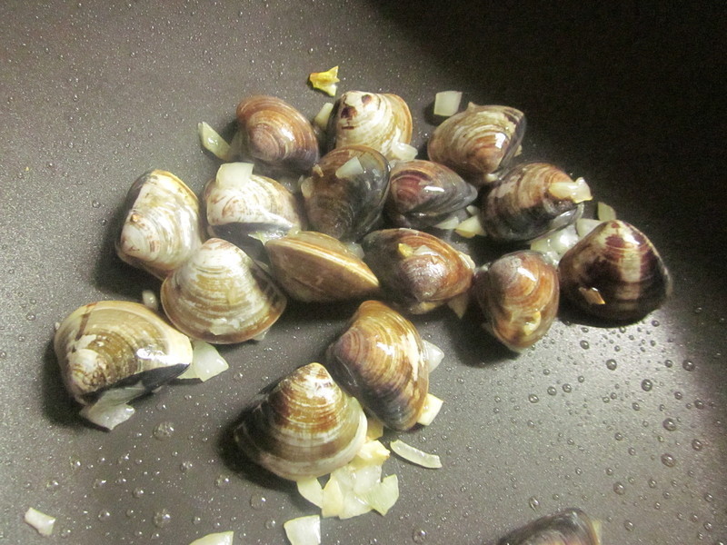 ��ʽ����ެ�ѹ�������