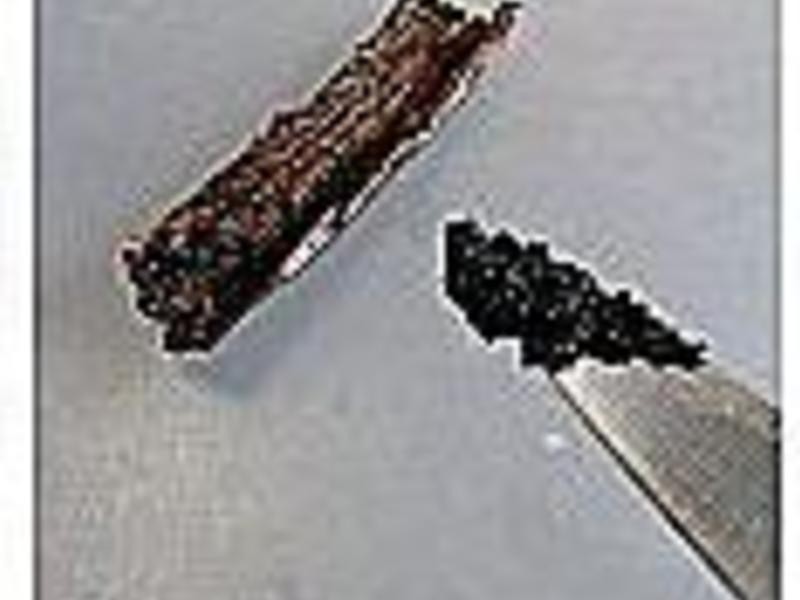 ��ݿ������������