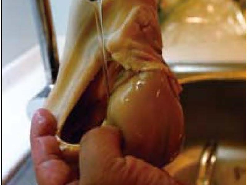 ��ʽ�ͷ綥�ϰ�������