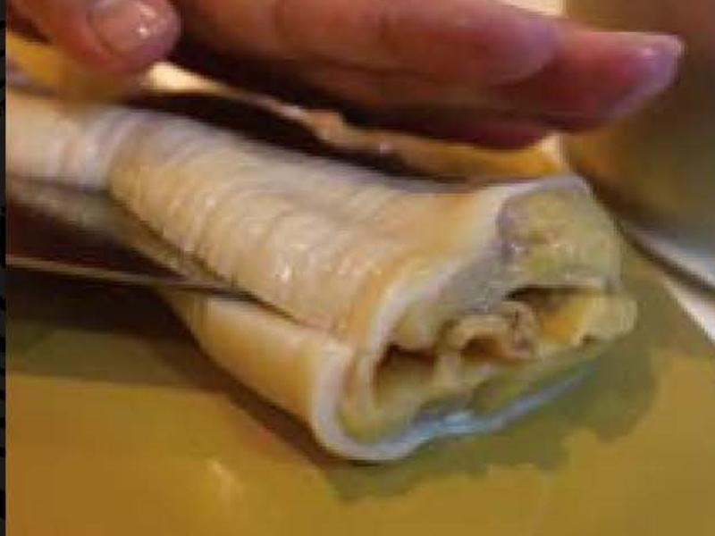 ��ʽ�ͷ綥�ϰ�������