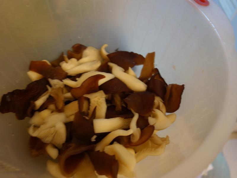 ���乽��ľ�� @ ������ʳ�õ�����