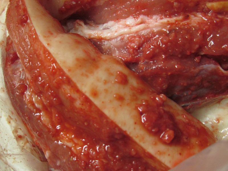 ��֭�տ����廨������