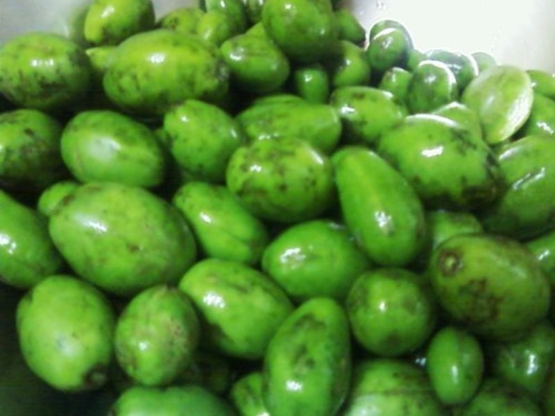 С��������~��÷�������(ɯ��)������