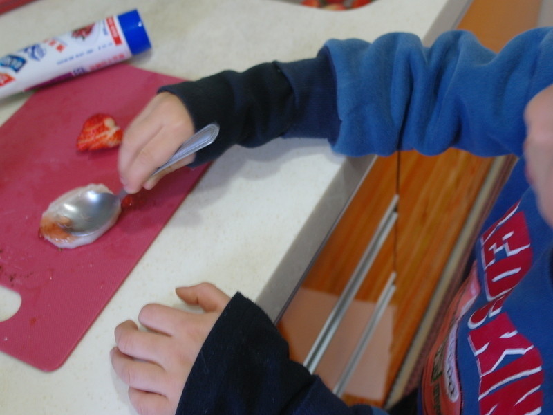 ����ͬ����ɽҩ��ݮ������