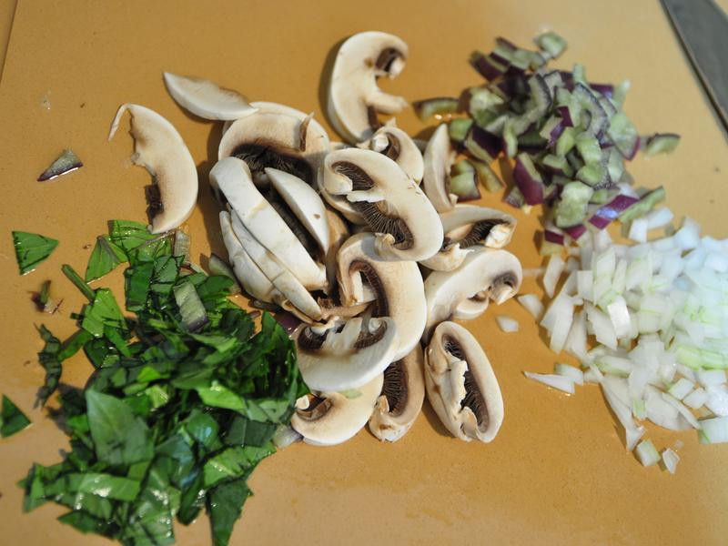 ����Ģ�����������