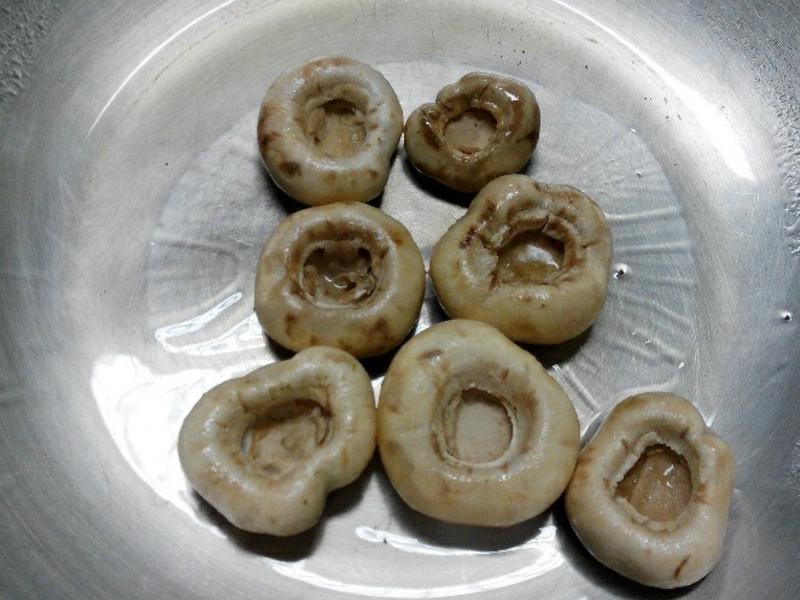 ���͟hĢ��������