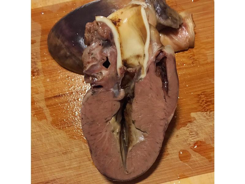 ����ζ���Οh���ĵ�����