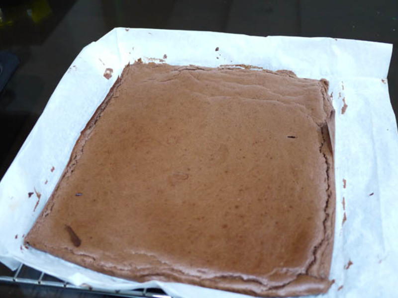 �ɿɿ�ʿ���������