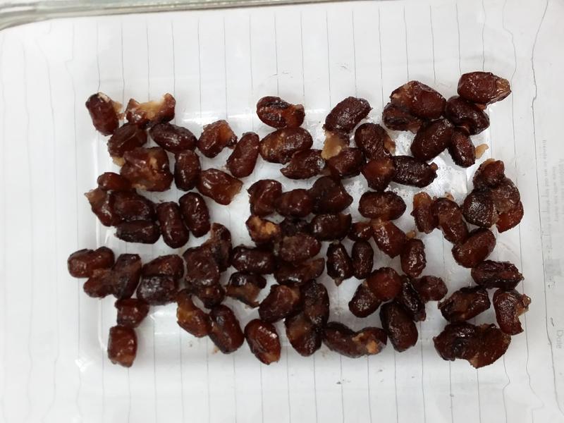 5����Ĩ��춹���⡶��Ȥ��΢��ʳ�ס�������