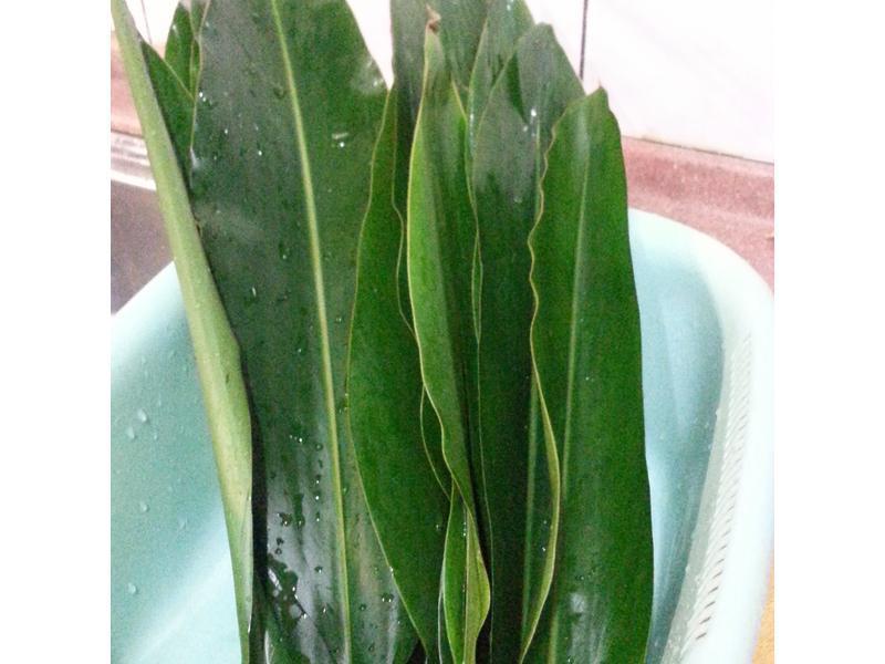 ����Ҷ�ͼҲ˰�������