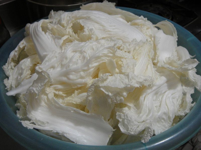 ���ձر�~����ˬ��ʽ�ݲ˵�����