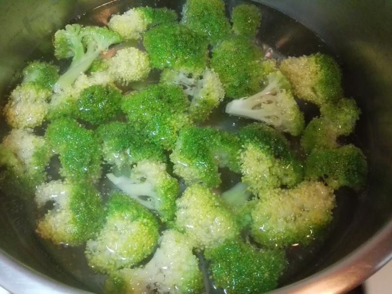 �h����������������