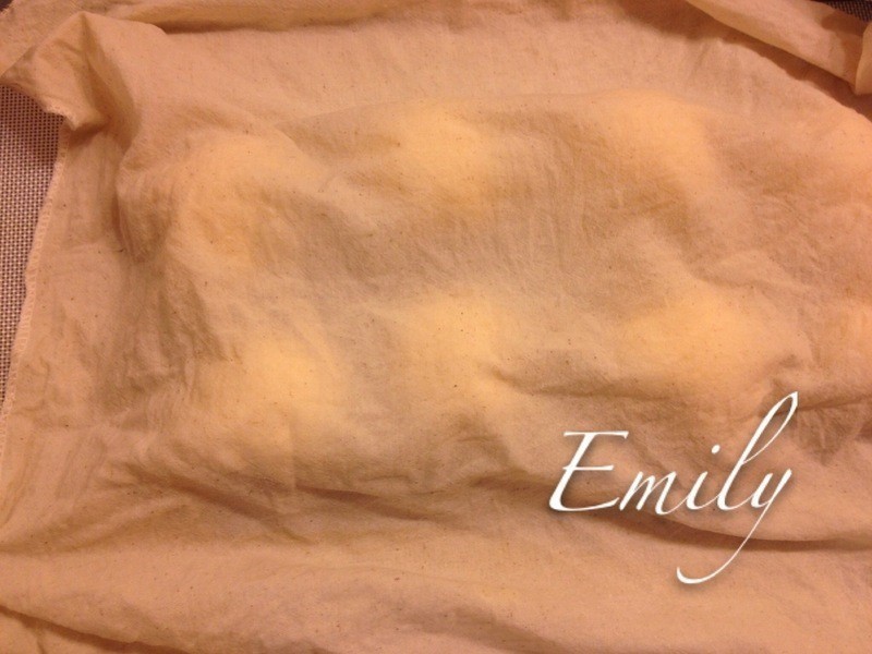 ɣ��������������