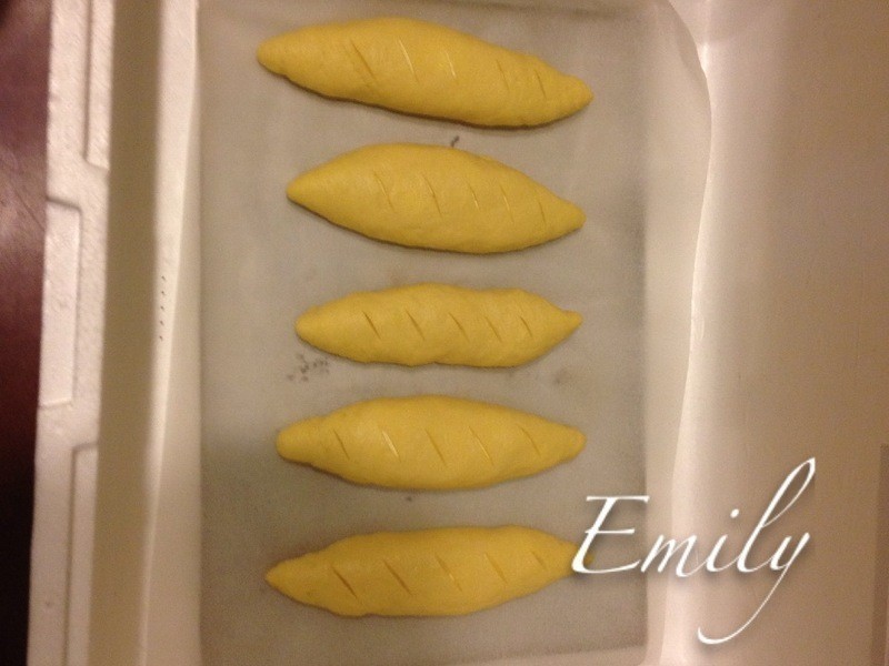 ɣ��������������