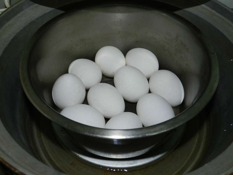 �ҳ���Ҷ��������