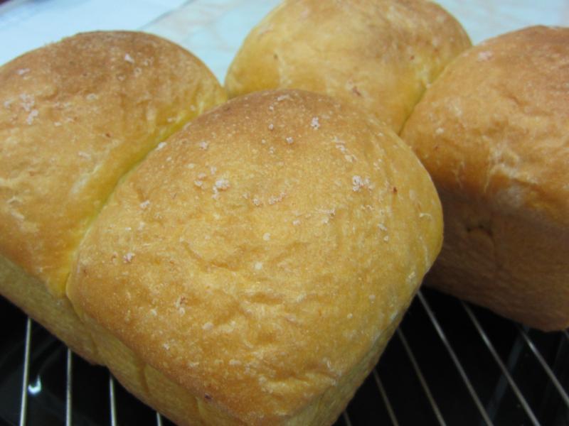 �߹��Ÿ����������