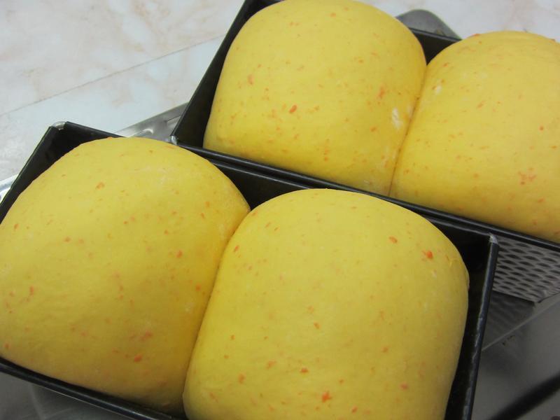 �߹��Ÿ����������