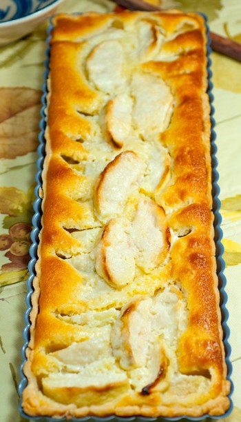 �Z�����O����������