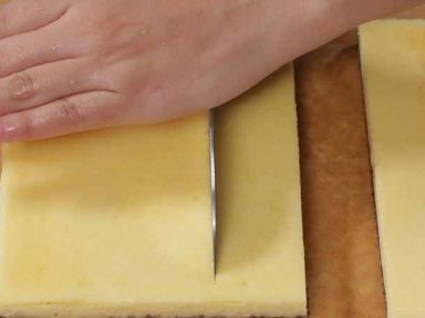 ʥ����ñ֥ʿ���������