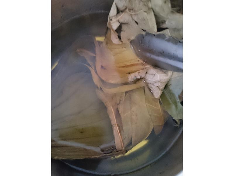 ��Ҷ�����ӵ�����