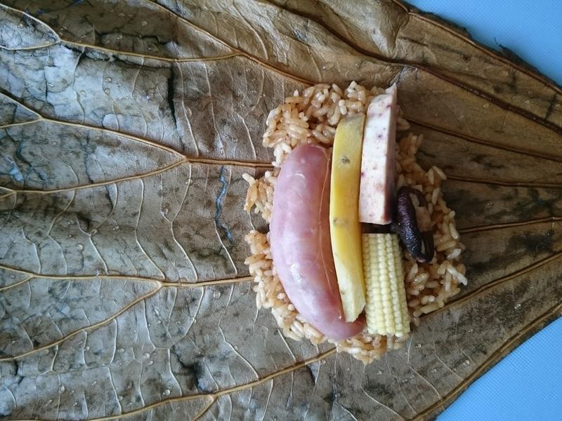 ��Ҷ�����ӵ�����